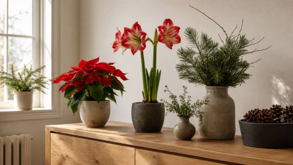 Miser sur les plantes de saison pour décorer son intérieur pendant les fêtes